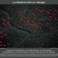 P2006 02 biodiversite 